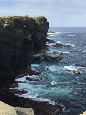 Puffin cliffs